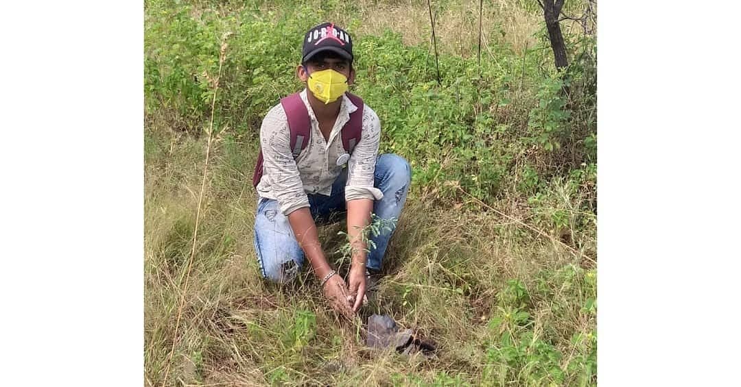 A volunteer planting a sapling at Laling–Landor, 2021